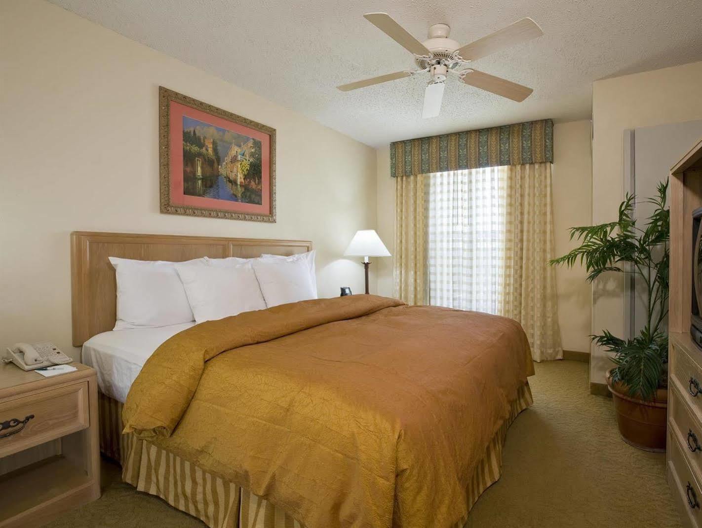 Homewood Suites By Hilton Austin South Pokoj fotografie